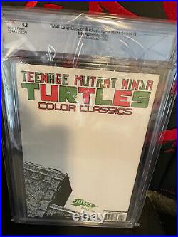 Teenage Mutant Ninja Turtles Michaelangelo COLOR CLASSICS IDW CGC 9.8